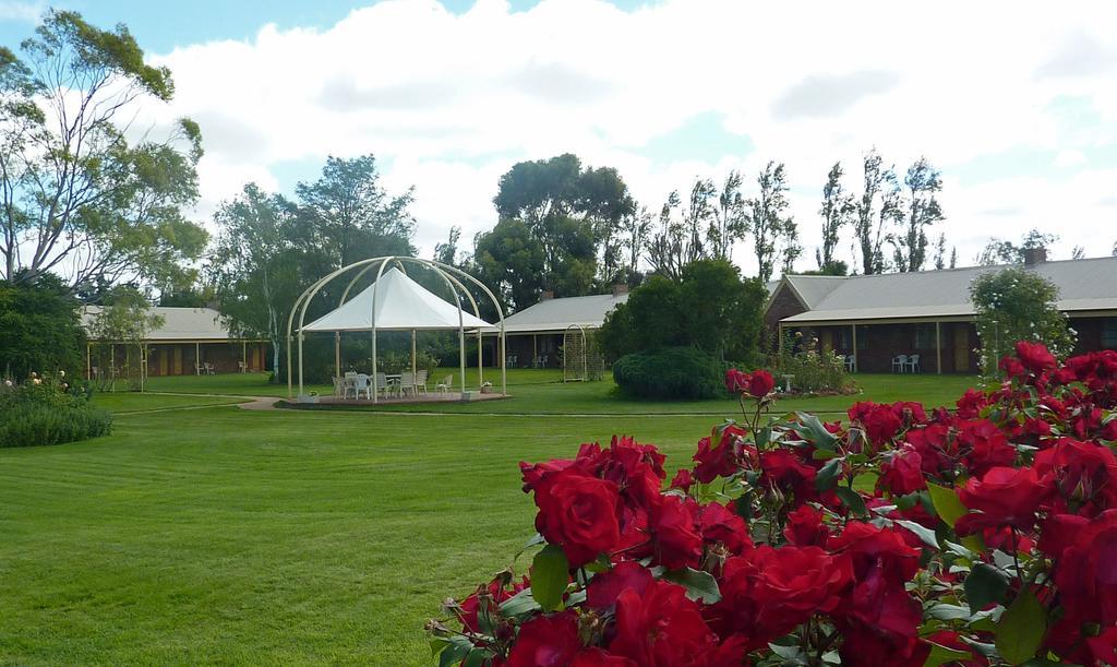 Motel Coonawarra Units Exterior foto