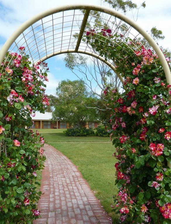 Motel Coonawarra Units Exterior foto