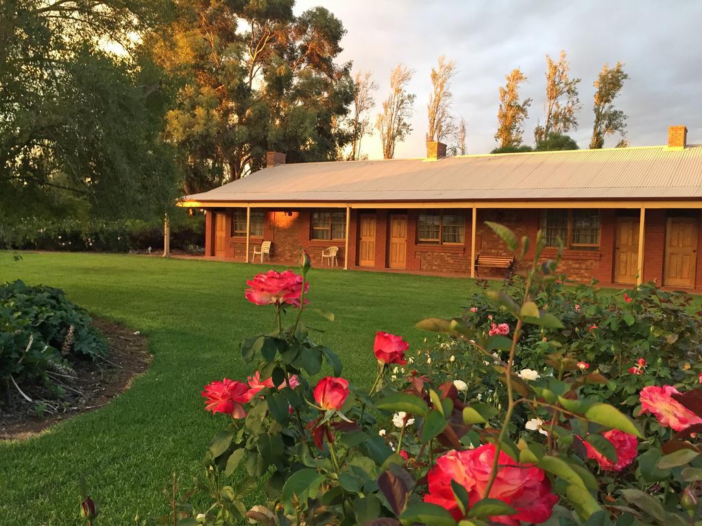 Motel Coonawarra Units Exterior foto