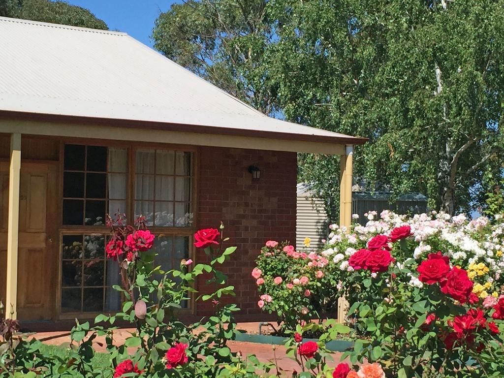 Motel Coonawarra Units Exterior foto