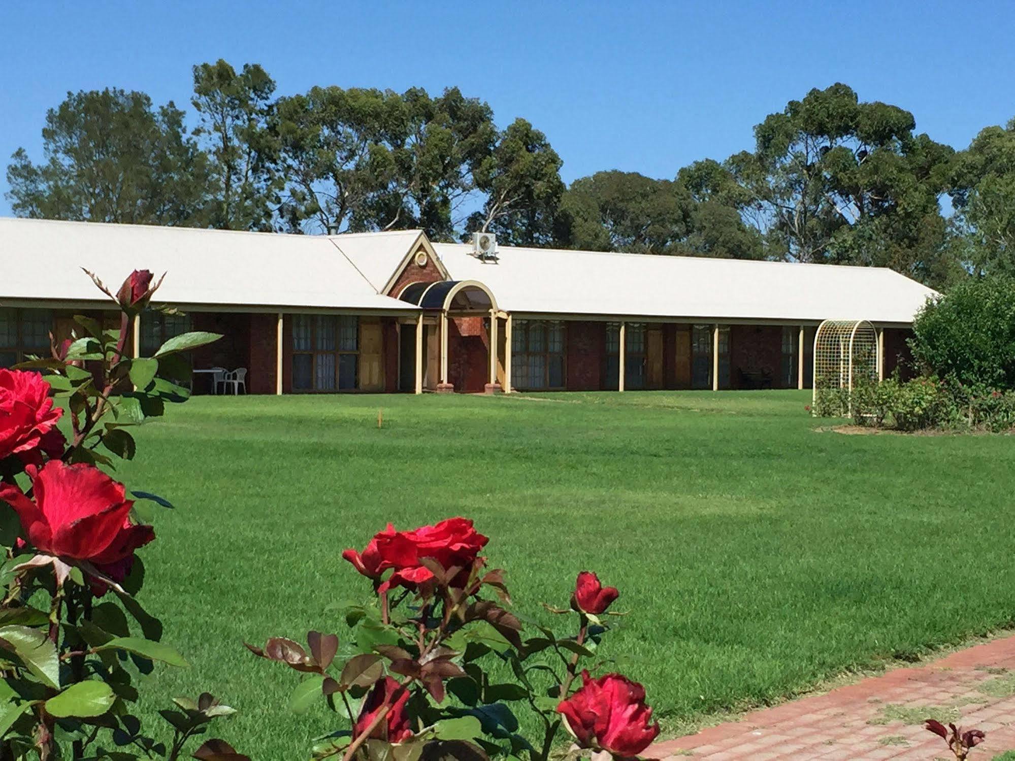 Motel Coonawarra Units Exterior foto