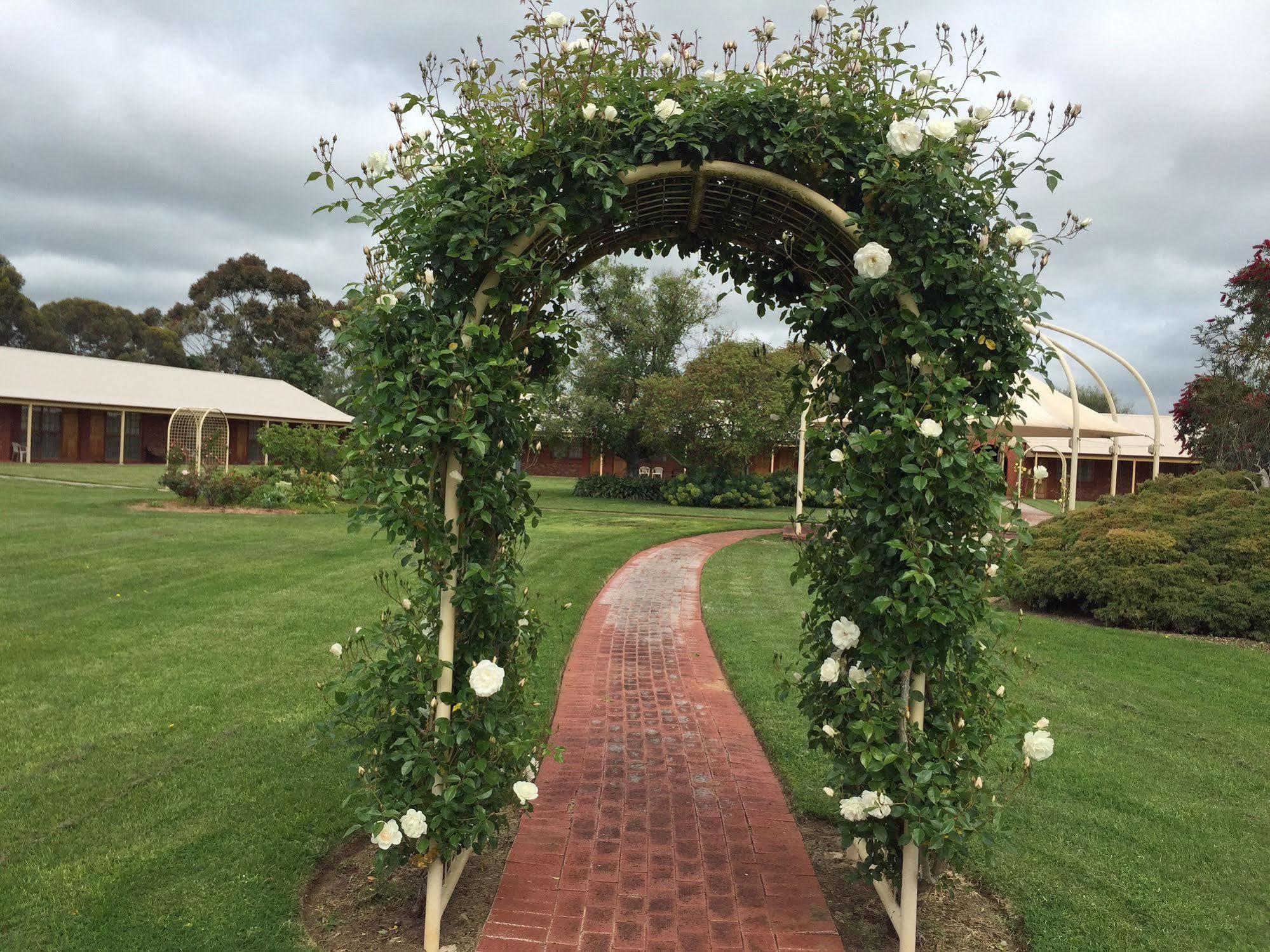 Motel Coonawarra Units Exterior foto