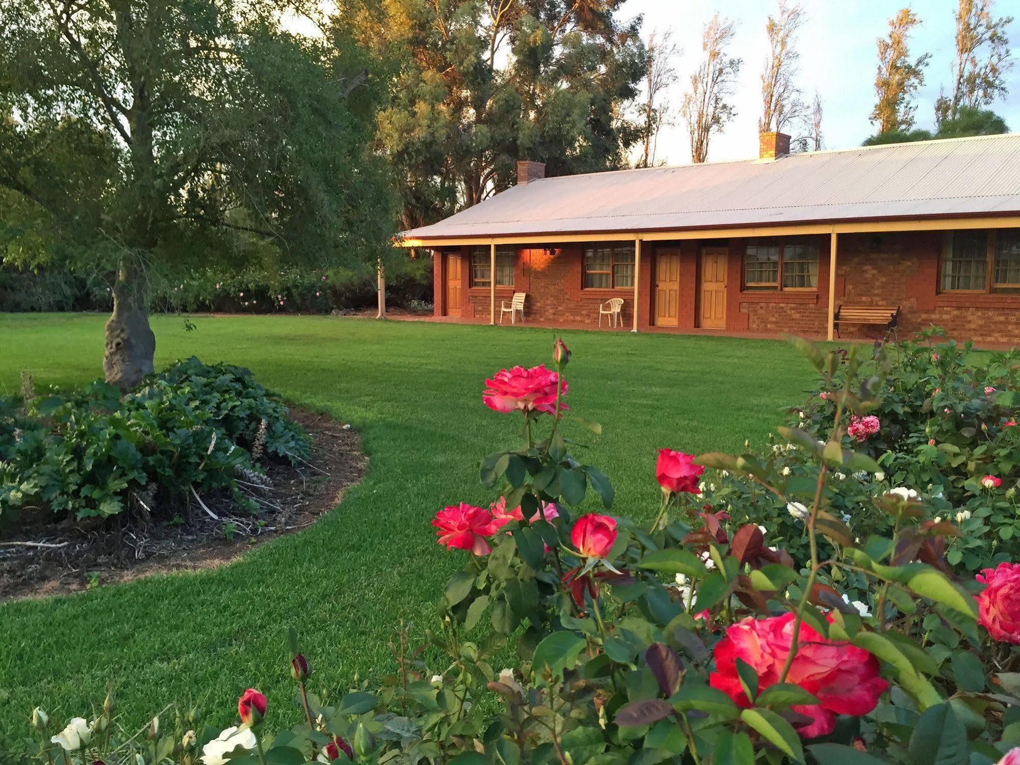 Motel Coonawarra Units Exterior foto