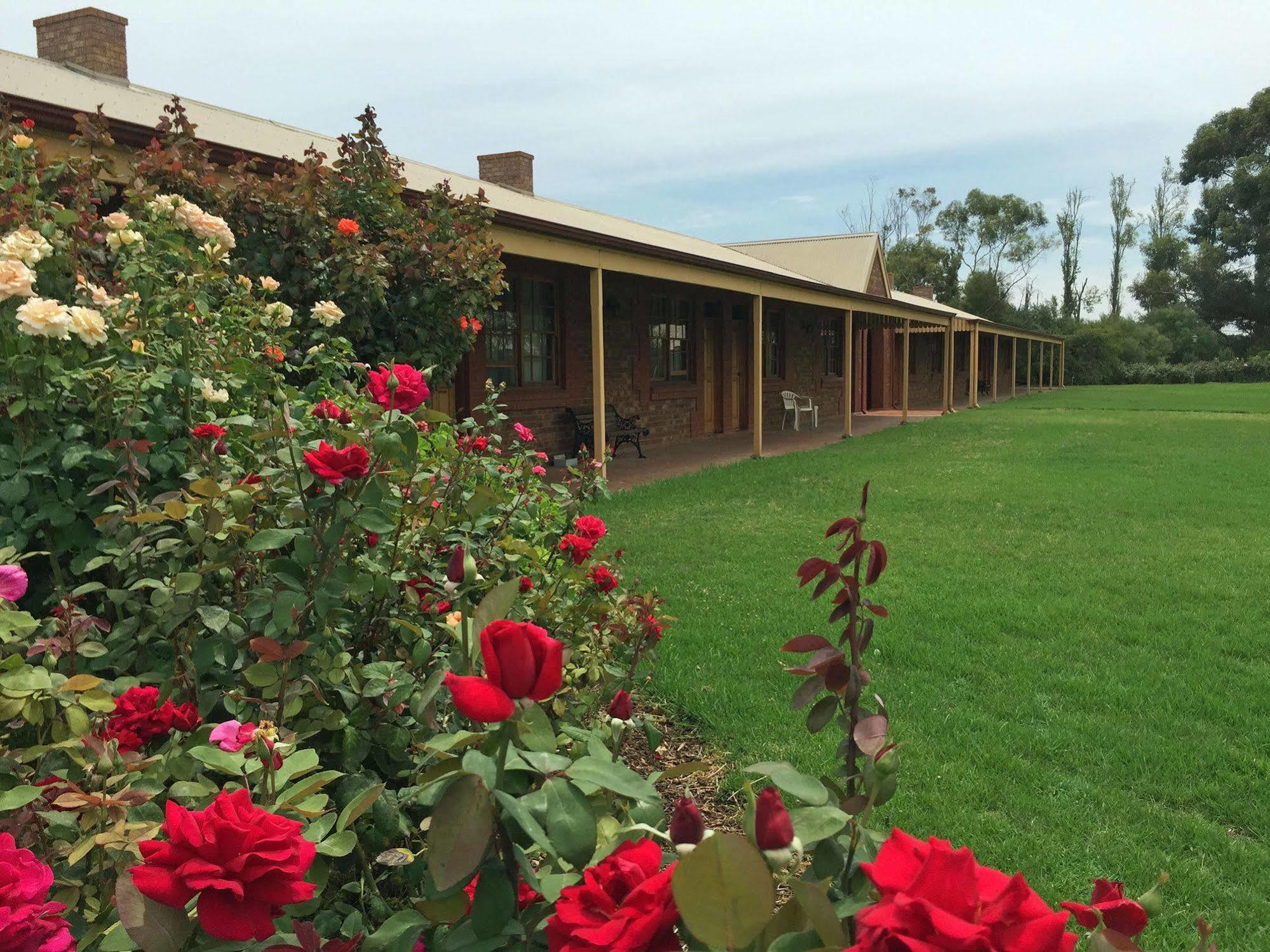 Motel Coonawarra Units Exterior foto