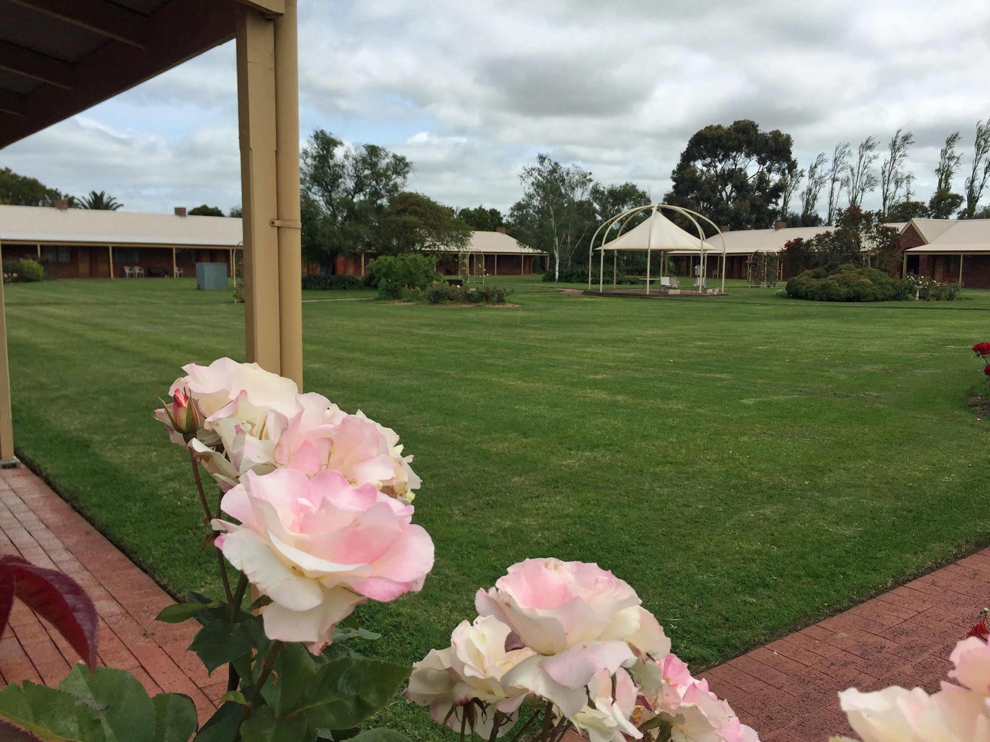 Motel Coonawarra Units Exterior foto