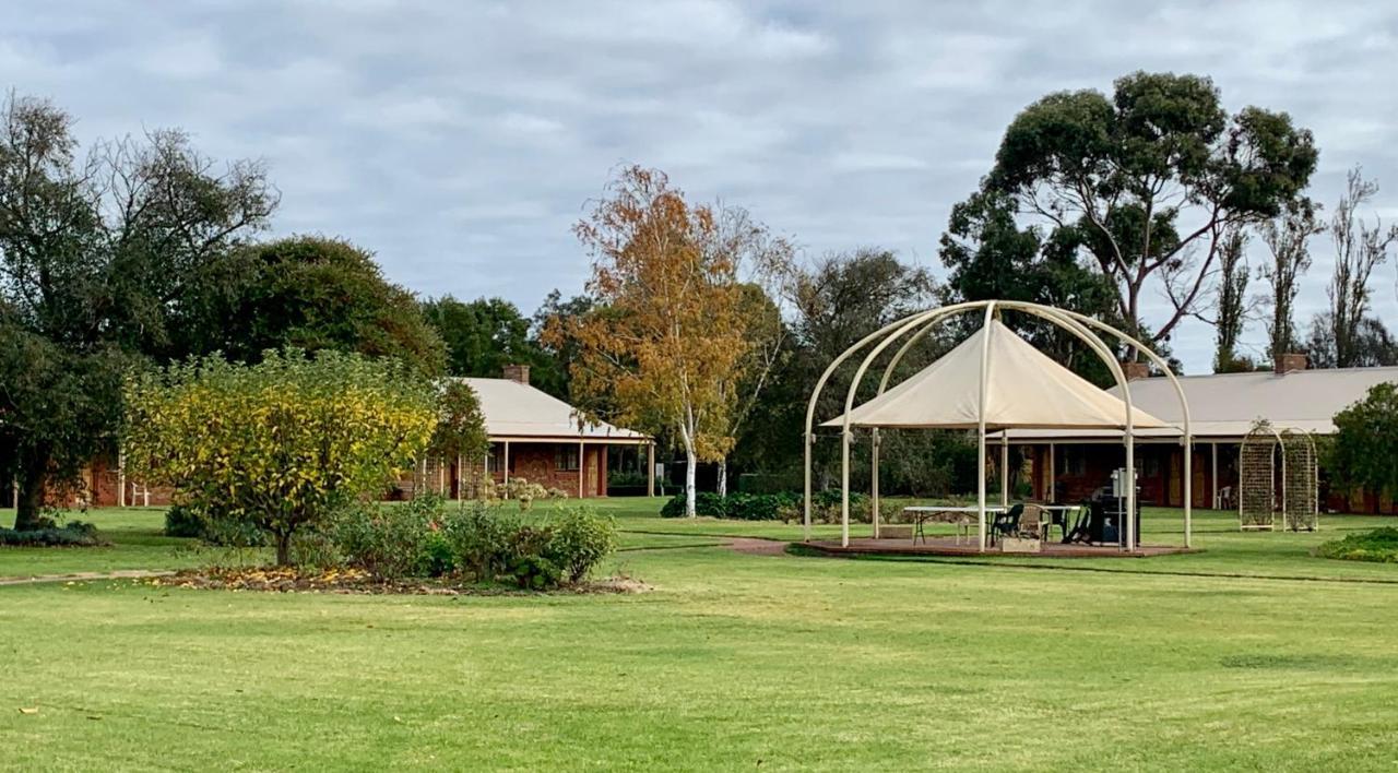 Motel Coonawarra Units Exterior foto